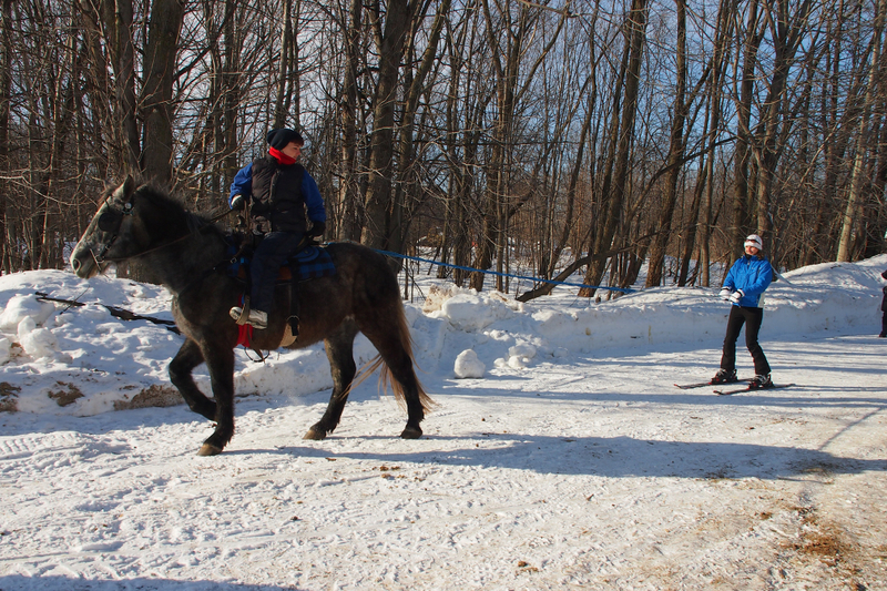 Ski joëring et poney-luge