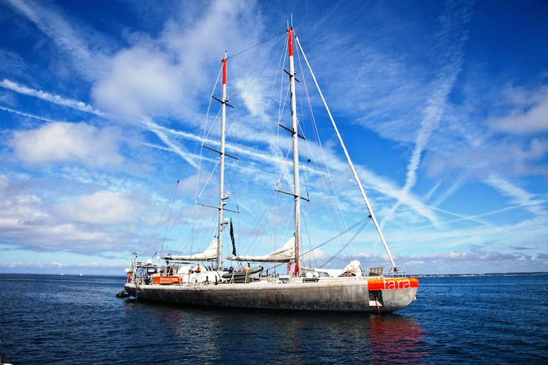 Expédition Tara Océans : l’infiniment petit mis en lumière