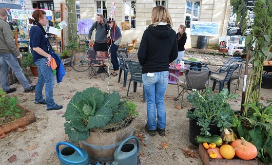 COP 21 : initiatives locales pour des enjeux globaux