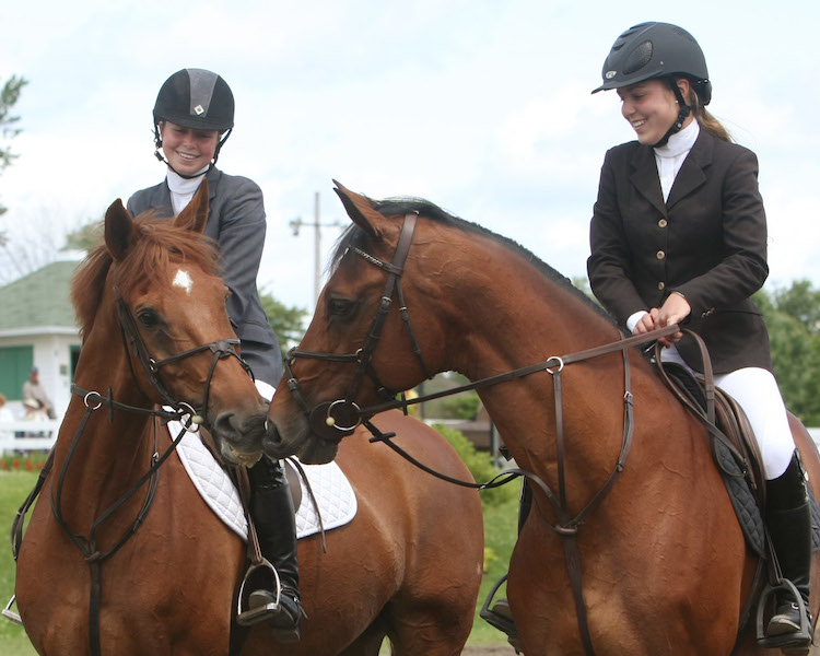 Se rééquilibrer au contact des chevaux