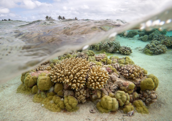 L’extension du domaine maritime français, un enjeu d’avenir