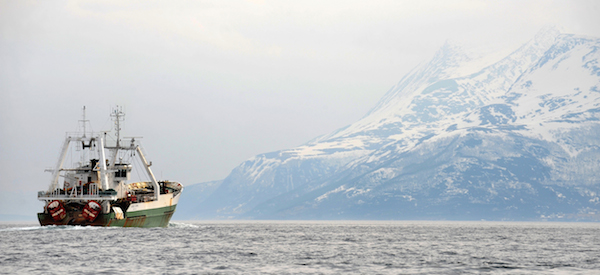 Dans les mailles du filet