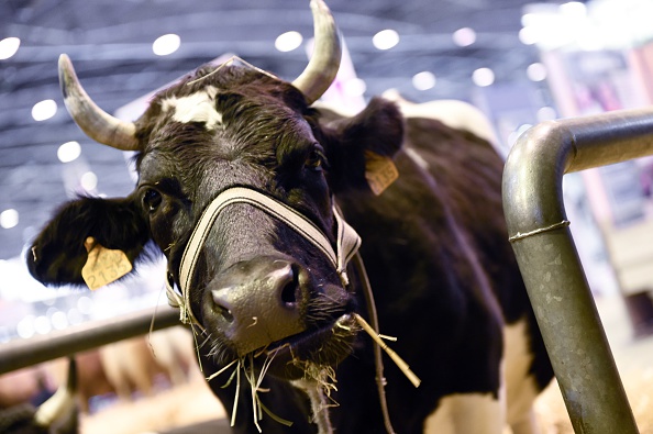 Salon de l&rsquo;agriculture 2016 : en pleine crise agricole, le secteur du bio se porte bien