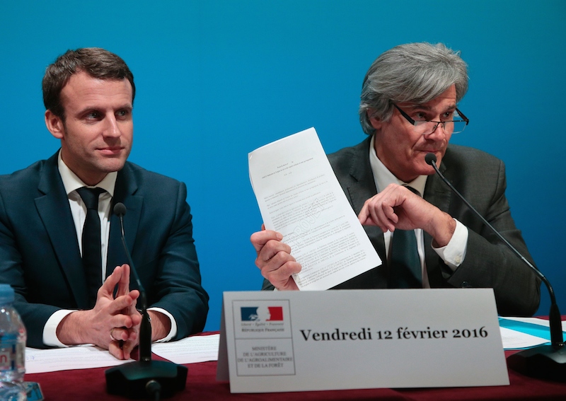 Agriculture, un an après la création des GIEE