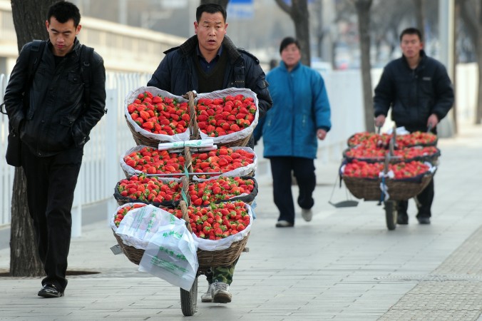 Chine: des fraises creuses et injectées d&rsquo;hormones