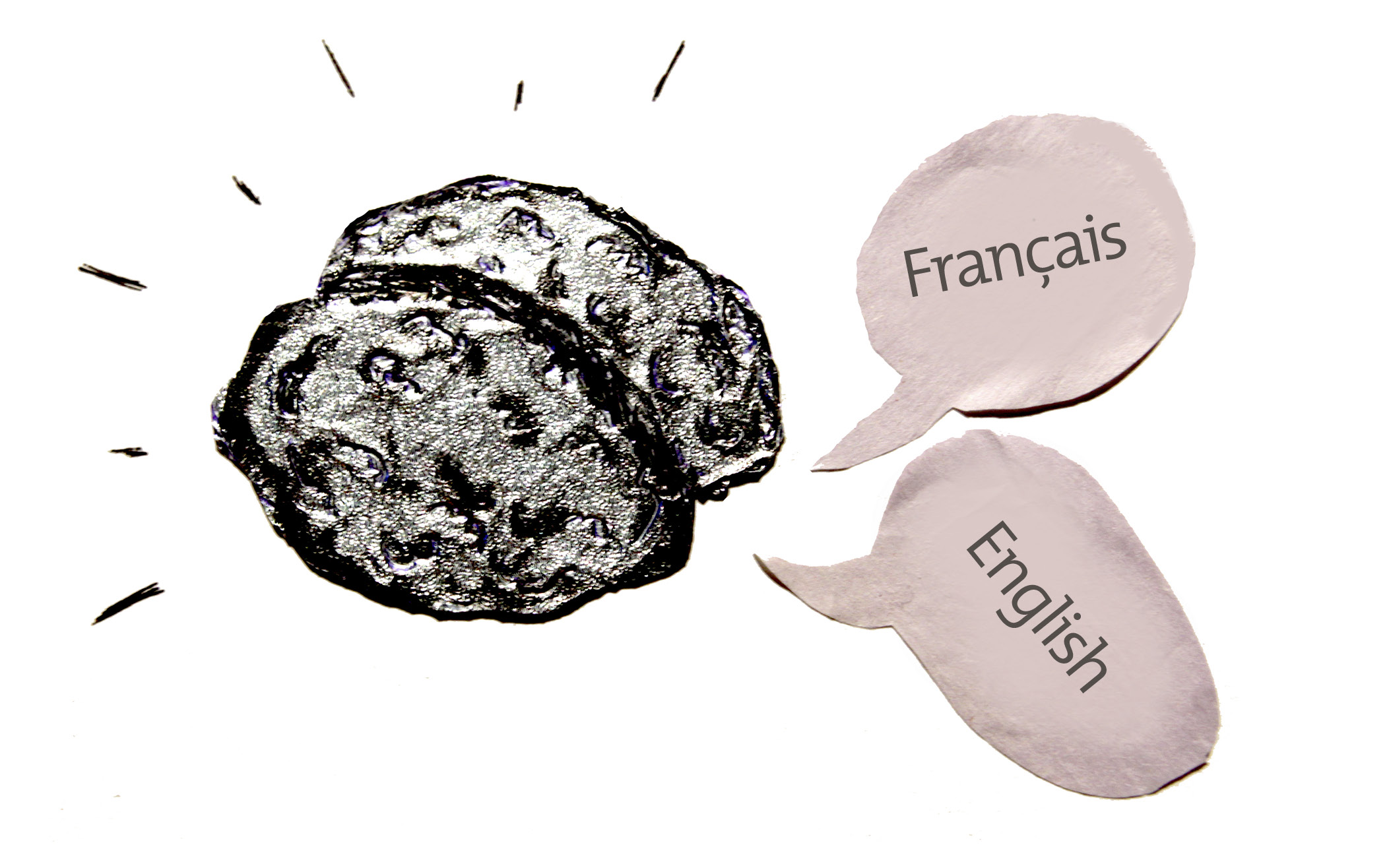 Les avantages du bilinguisme sur le cerveau