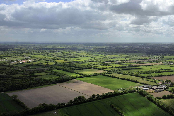 Référendum de Notre-Dame-des-Landes : un pari fragile