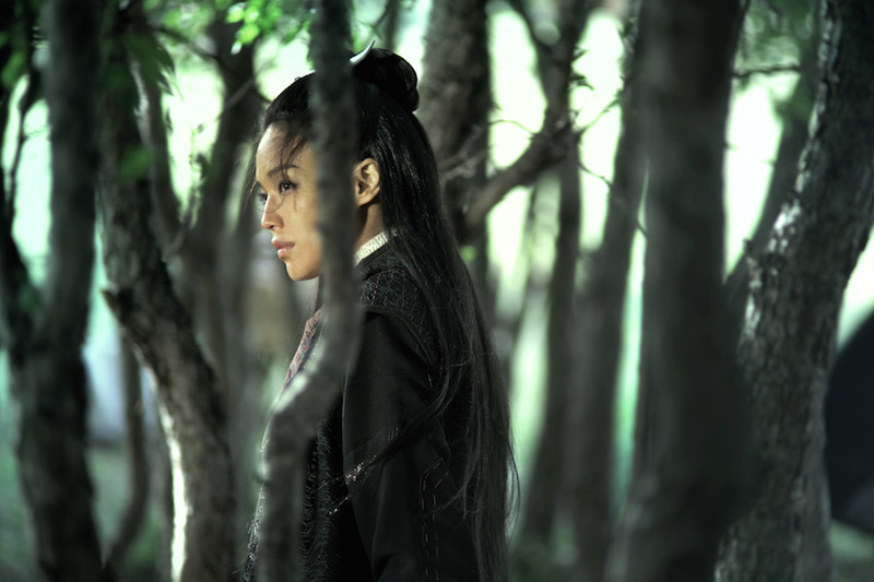 The Assassin de Hou Hsiao-hsien