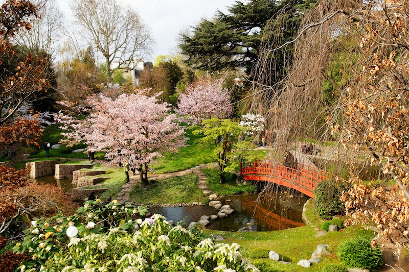 Réhabilitation du musée départemental Albert-Kahn