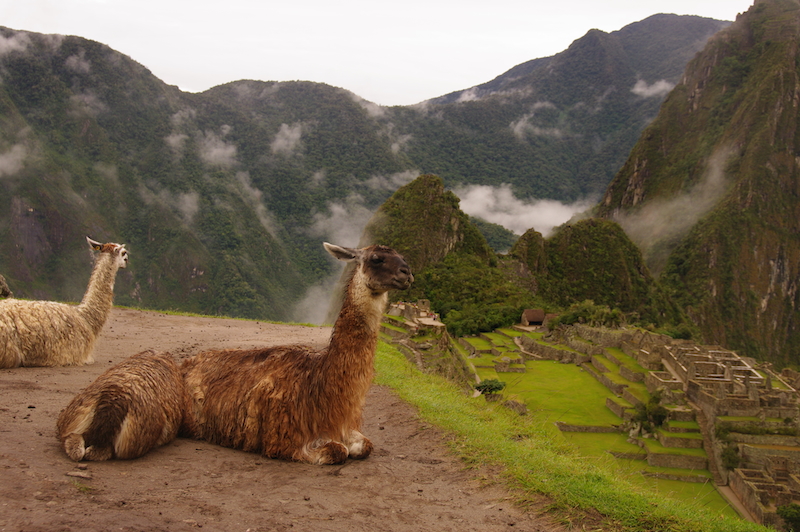 Le Machu Picchu : entre culture et nature