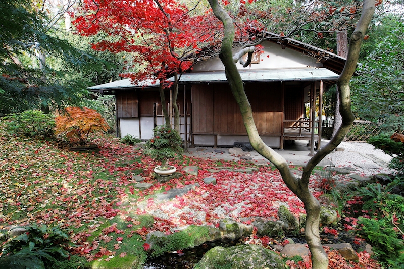 Des maisons japonaises du XIXe siècle restaurées