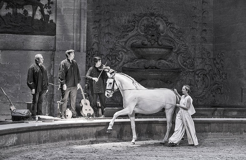 Chantilly : renouer avec l’art équestre