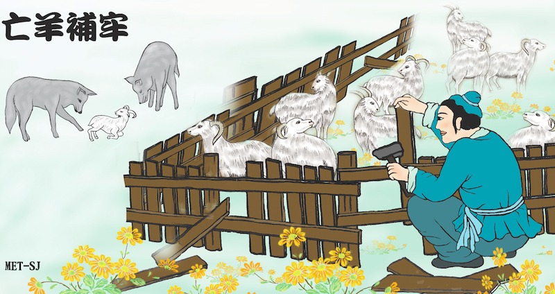 Réparer l&rsquo;enclos après avoir perdu un mouton (亡羊補牢)