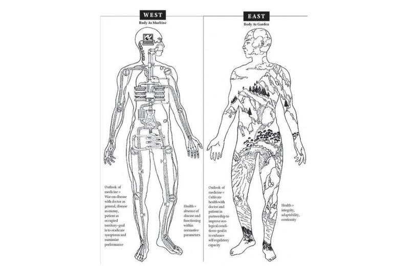 Les fondamentaux de la médecine chinoise