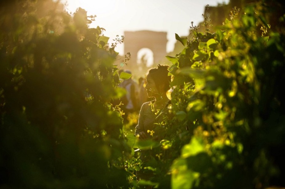 Comment on « végétalise » les villes