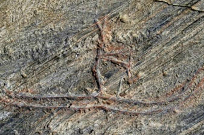 Une gravure vieille de 5 000 ans ruinée par un enfant