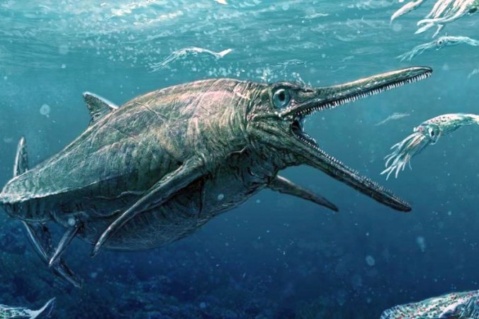 Un « monstre marin » écossais de 164 millions d’années