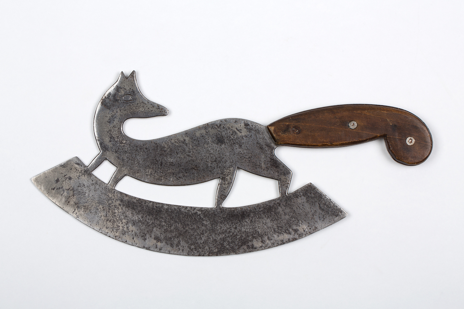 Exposition : Curiosités