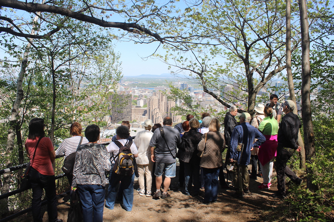 Randonnée découverte sur le mont Royal