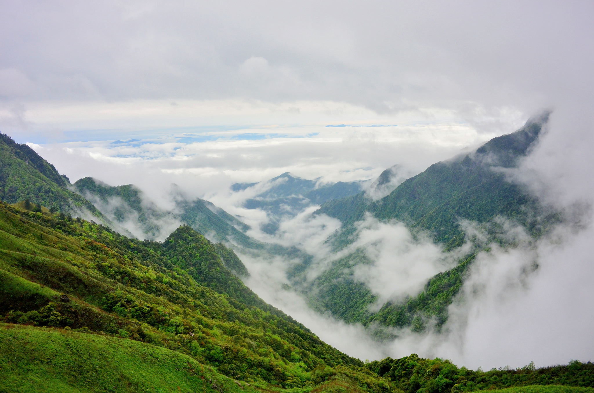 Hailibu, le chasseur au grand cœur