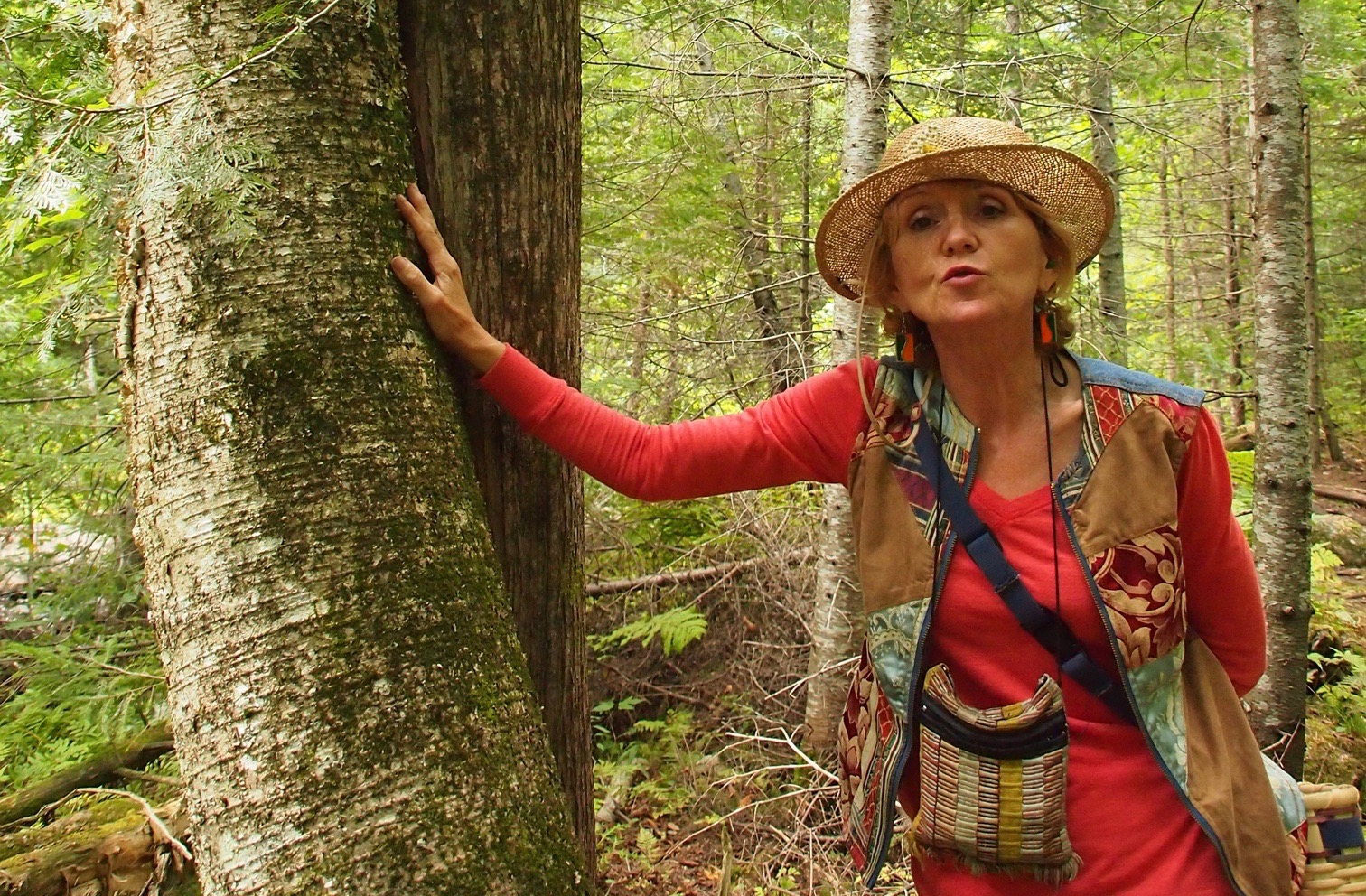 À la découverte des plantes indigènes du Québec – 2e partie