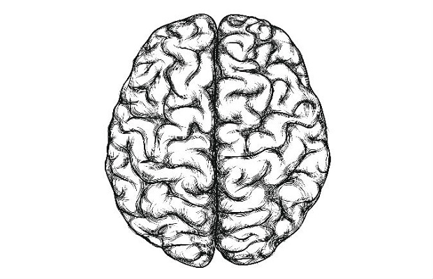 Nous pourrions avoir des cellules venant d’autres personnes dans notre cerveau