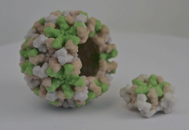 Nous pouvons être identifiés par le « nuage de bactéries » qui nous entoure