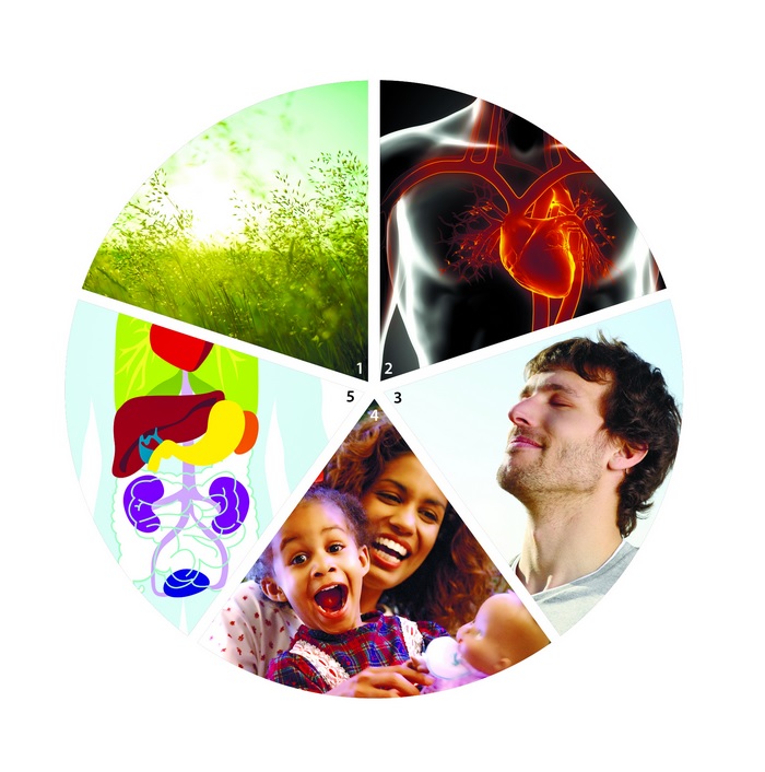 Prenez soin de votre Qi