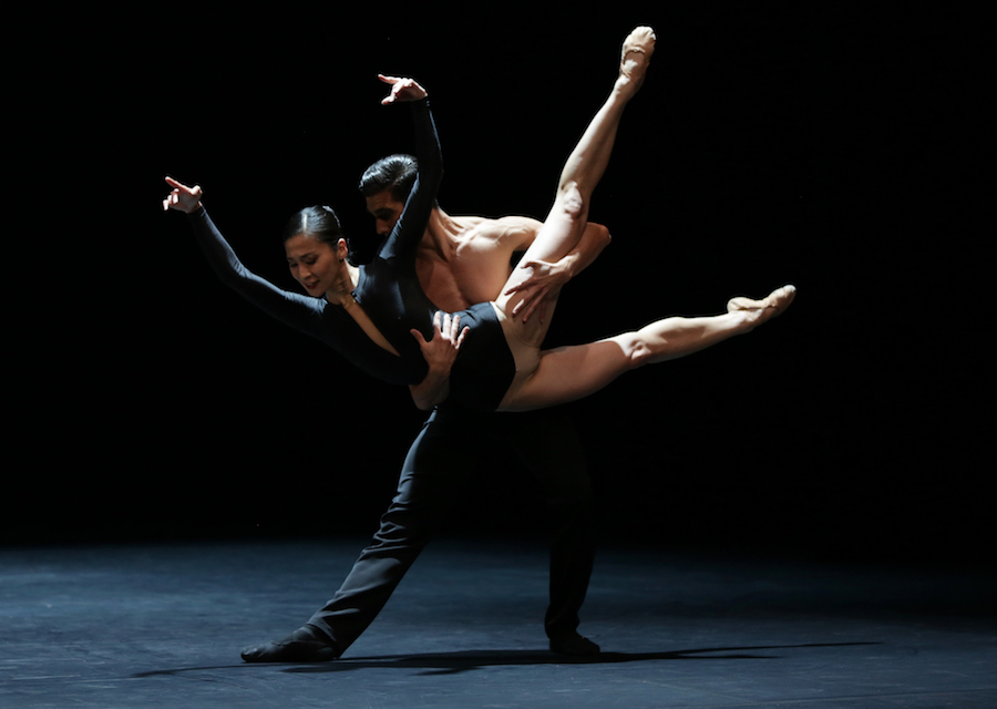 La Belle et la Bête – L’artiste entre corps et âme