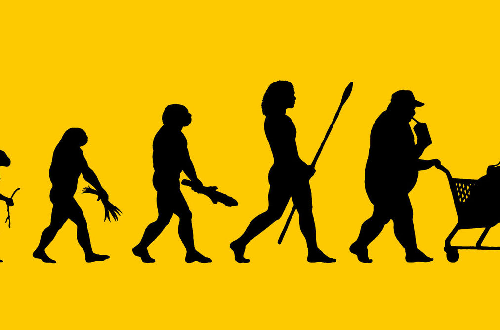 Quelles sont les causes de l&rsquo;épidémie mondiale d&rsquo;obésité ?