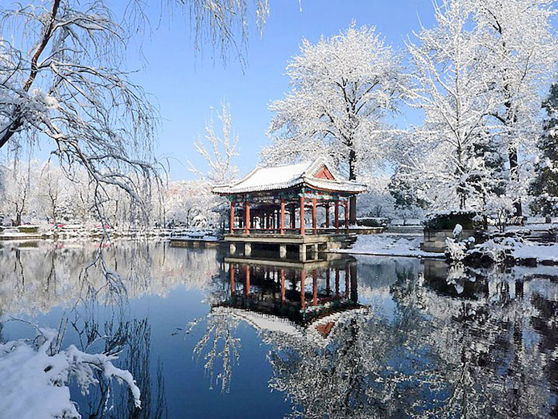 Dongzhi : les traditions chinoises du solstice d’hiver