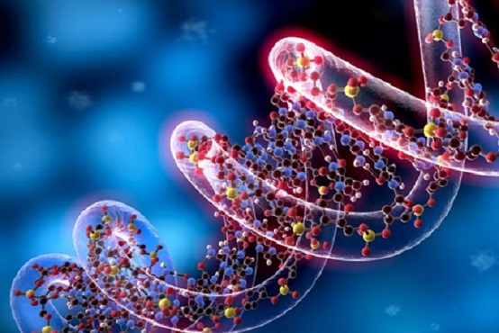 L’épigénétique, quand l’ADN rencontre la médecine traditionnelle