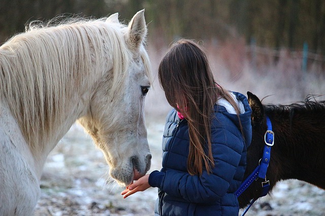 Le cheval facilitant le «regard à l’intérieur»