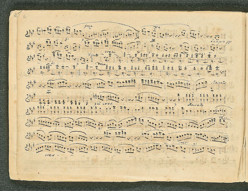 Ludwig Van. Le mythe Beethoven