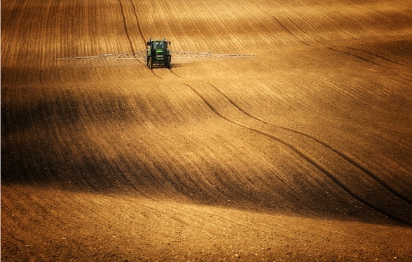 Voyage au pays des glutens
