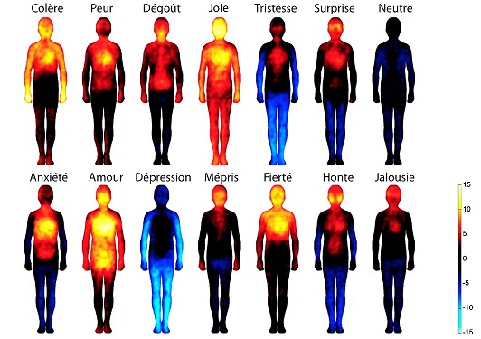 La carte corporelle des émotions