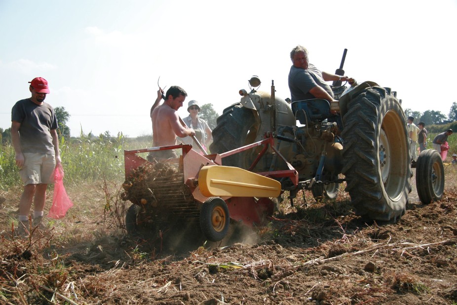 Néo-paysans et néo-artisans, précurseurs d’une nouvelle territorialisation du travail ?