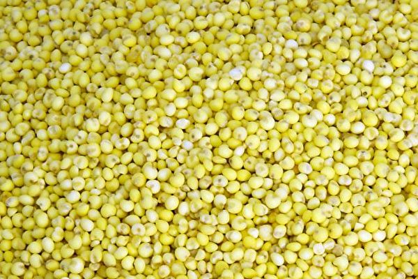 Les céréales complètes peuvent être délicieuses