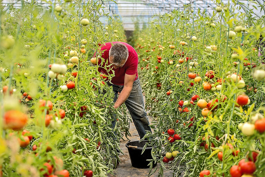 Les industriels seraient-ils en train de gagner la bataille du bio ?