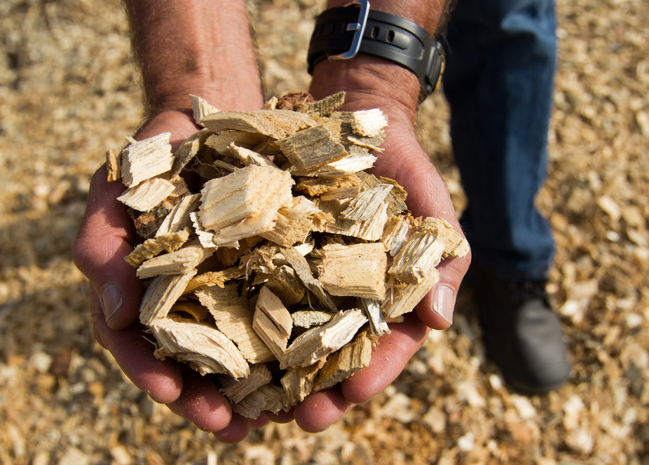 Pourquoi les territoires doivent s’emparer de la bioéconomie