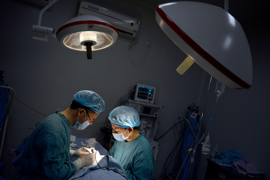 Plusieurs centaines de milliers de prisonniers exécutés pour vendre leurs organes