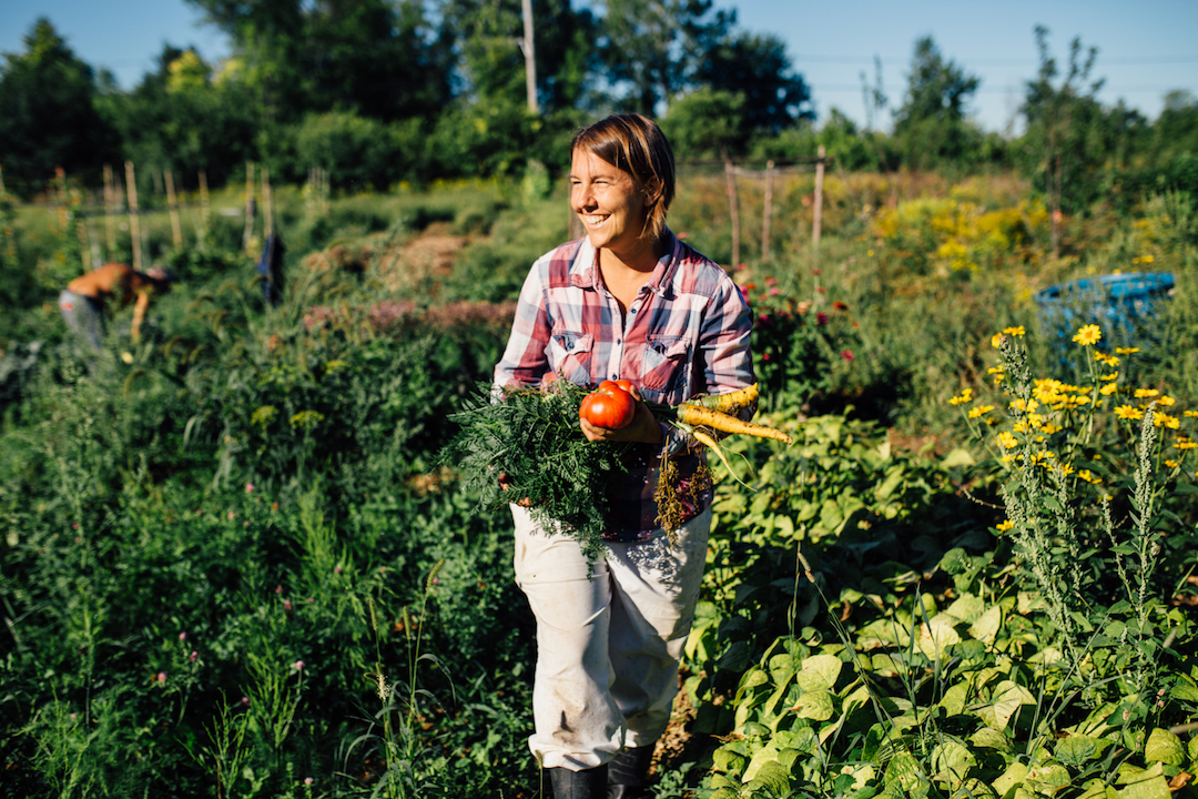 Trouver dans le passé les racines de l’avenir