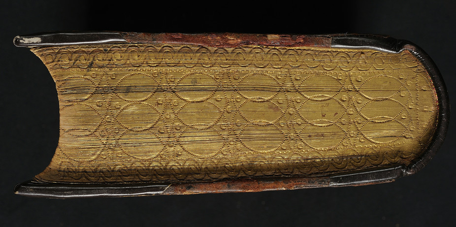 La théologie a-t-elle sa place à l’université ?