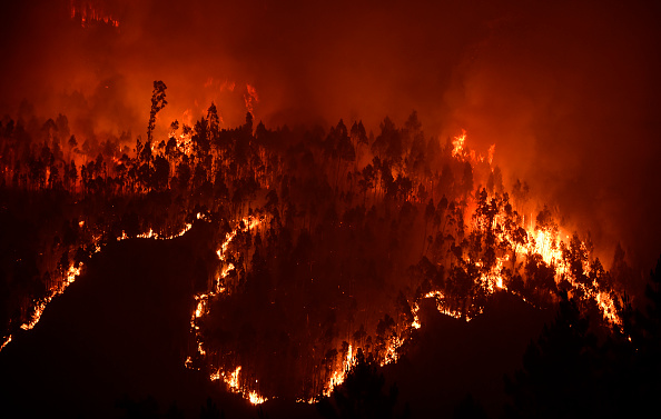 Des psychologues engagés pour soutenir les survivants des incendies mortels au Portugal