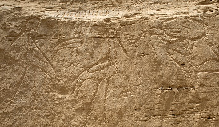 Des archéologues découvrent un des plus anciens hiéroglyphes égyptiens