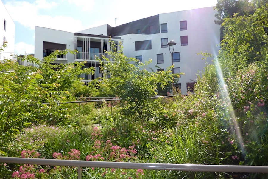 La résidence Blanche de castille, d’Emmaüs Habitat, un projet exemplaire