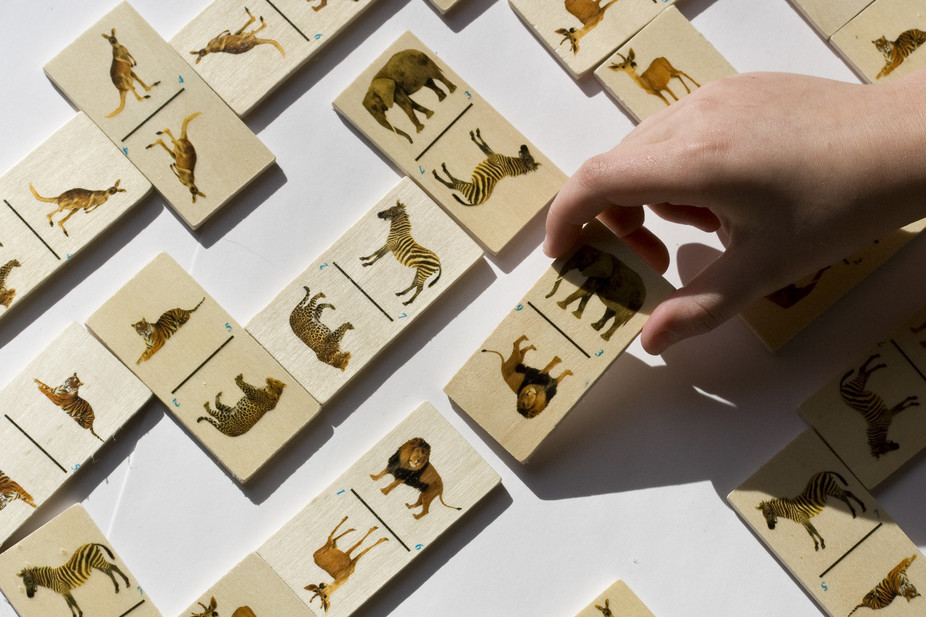 Extinctions de masse : comment la vie rebondit