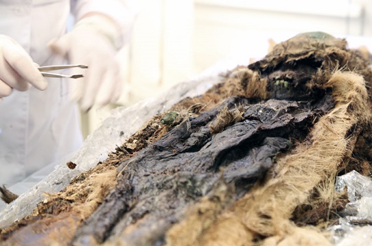 Des momies d&rsquo;une mystérieuse civilisation arctique découvertes en Sibérie