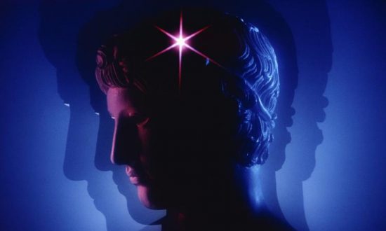 Idriss Aberkane : « La nature est le meilleur modèle de prospérité économique sur Terre »