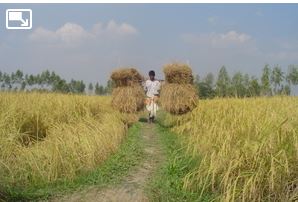 Subir une perte est une bénédiction
